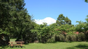 A wooden bench in a grassy area with a small shed and a large tree in the foreground, and a snow-capped mountain in the background. - YMCA International Youth Center TOZANSO (Gotemba)