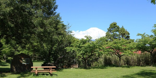 Un banco de madera en un área verde con un cobertizo pequeño y un árbol grande al frente, y una montaña nevada en el fondo.