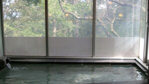 A hot tub with a view of trees through a large window. - YMCA International Youth Center TOZANSO (Gotemba)
