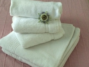 Shower, free toiletries, hair dryer, towels