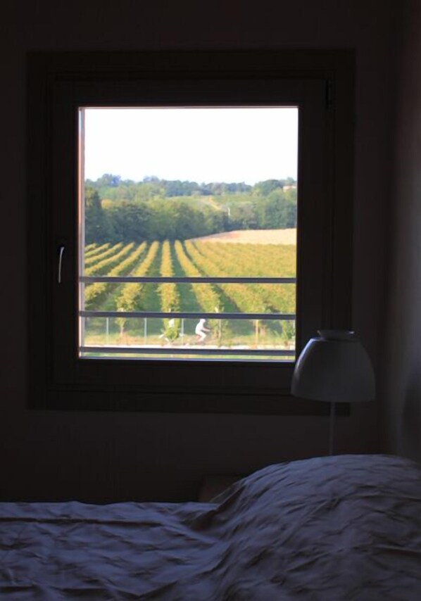 Ausblick vom Zimmer