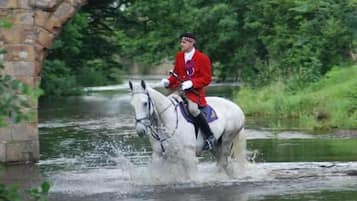 Una persona con uniforme rojo montando un caballo blanco a través del agua.