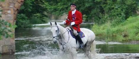 A person in a red uniform riding a white horse through a body of water.