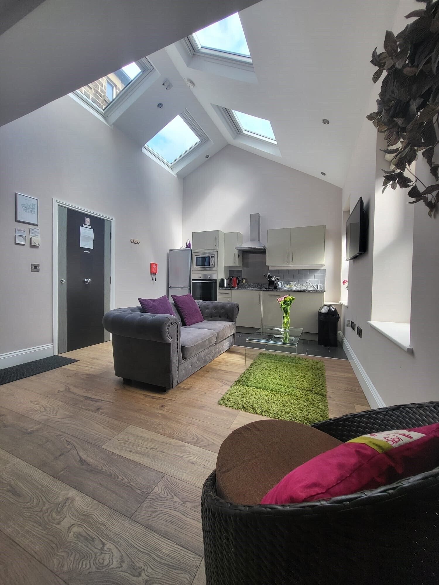 Un apartamento moderno con cocina tipo loft, un sofá gris y una alfombra verde.