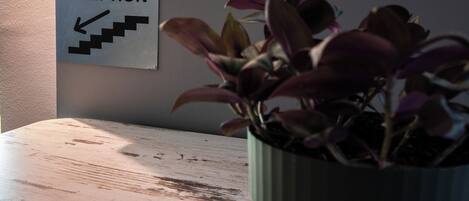 A reception sign with an arrow pointing to the left, a wooden table, and a potted plant.