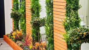 A vertical garden with a wooden slat wall, a planter box with colorful flowers, and a modern building in the background. - San Pietro Restaurant with Rooms (Scunthorpe)