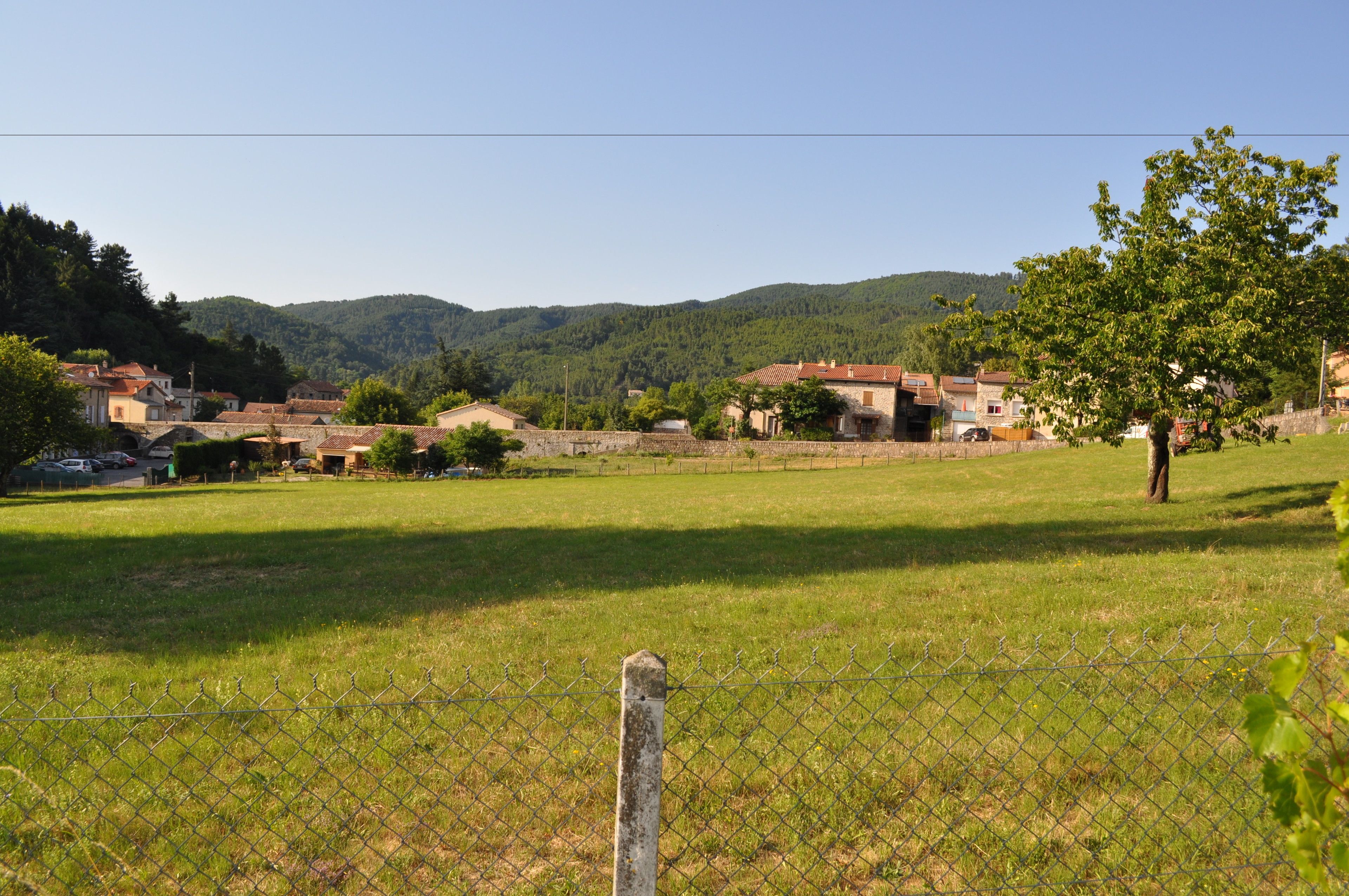 Paisagem rural com casas, um campo gramado e uma árvore.