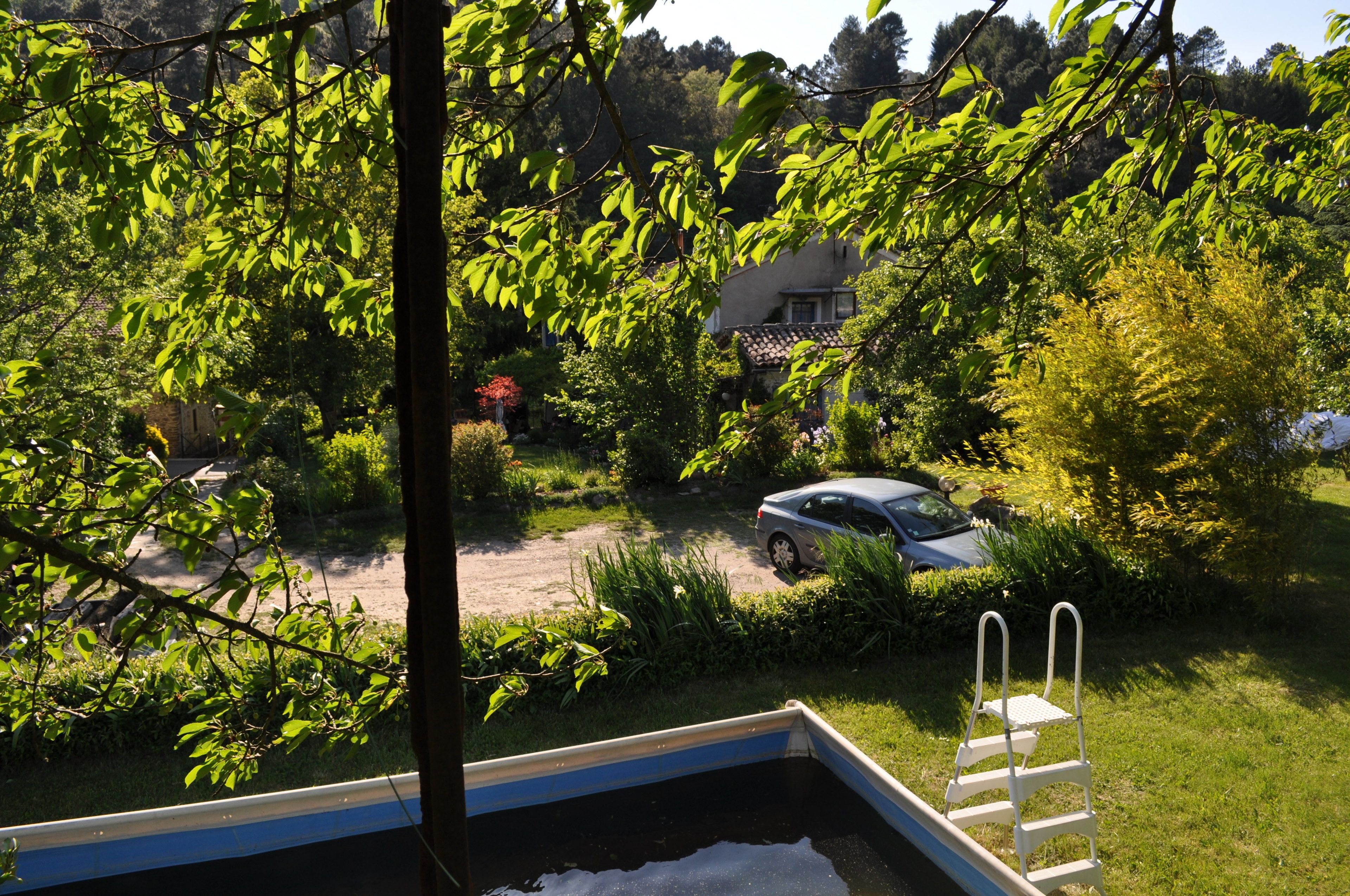A view from a window overlooking a garden with a swimming pool, a ladder, and a parked car.