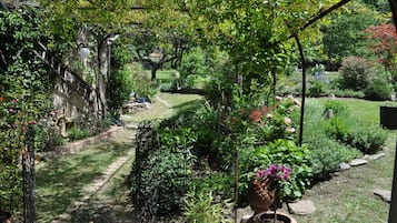 Tuin