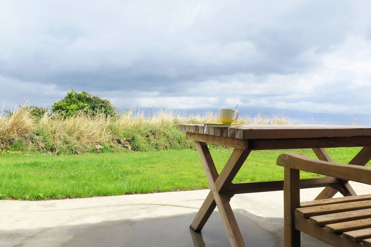 A wooden picnic table with a cup on it, set on a concrete surface with a grassy field and a cloudy sky in the background.