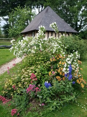 Estudi Comfort, 1 llit doble, no fumadors, vistes al jardí | Vista des de l'habitació