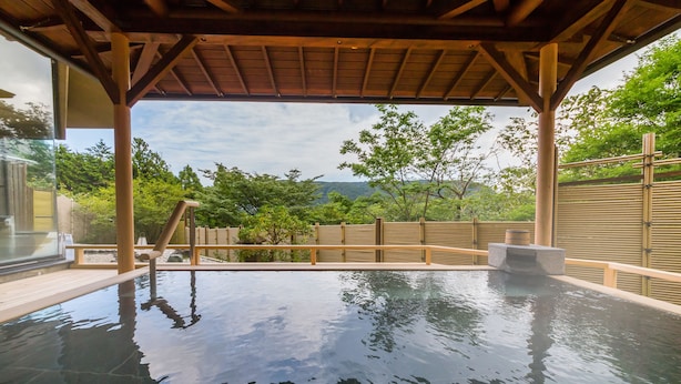 A hot spring bath area with a wooden roof, a stone platform, and a view of greenery and hills. - Washintei Hogetsu (Hakone)