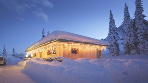 Una baita coperta di neve con facciata in legno, circondata da alberi carichi di neve, illuminata da luci a stringa.