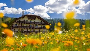 Un edificio de estilo chalete con balcón, rodeado por un campo de flores amarillas y un paisaje boscoso.