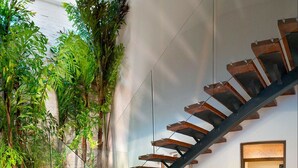 Interior - 5 Bedrooms Luxury Caleta House by Homing Bird (Puerto Aventuras)