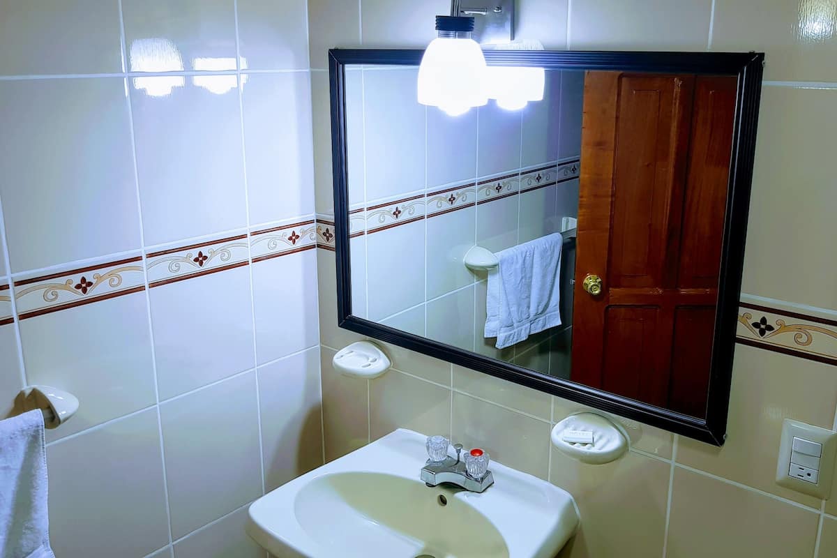 deluxe double room, 1 king bed | bathroom | shower, free toiletries, towels