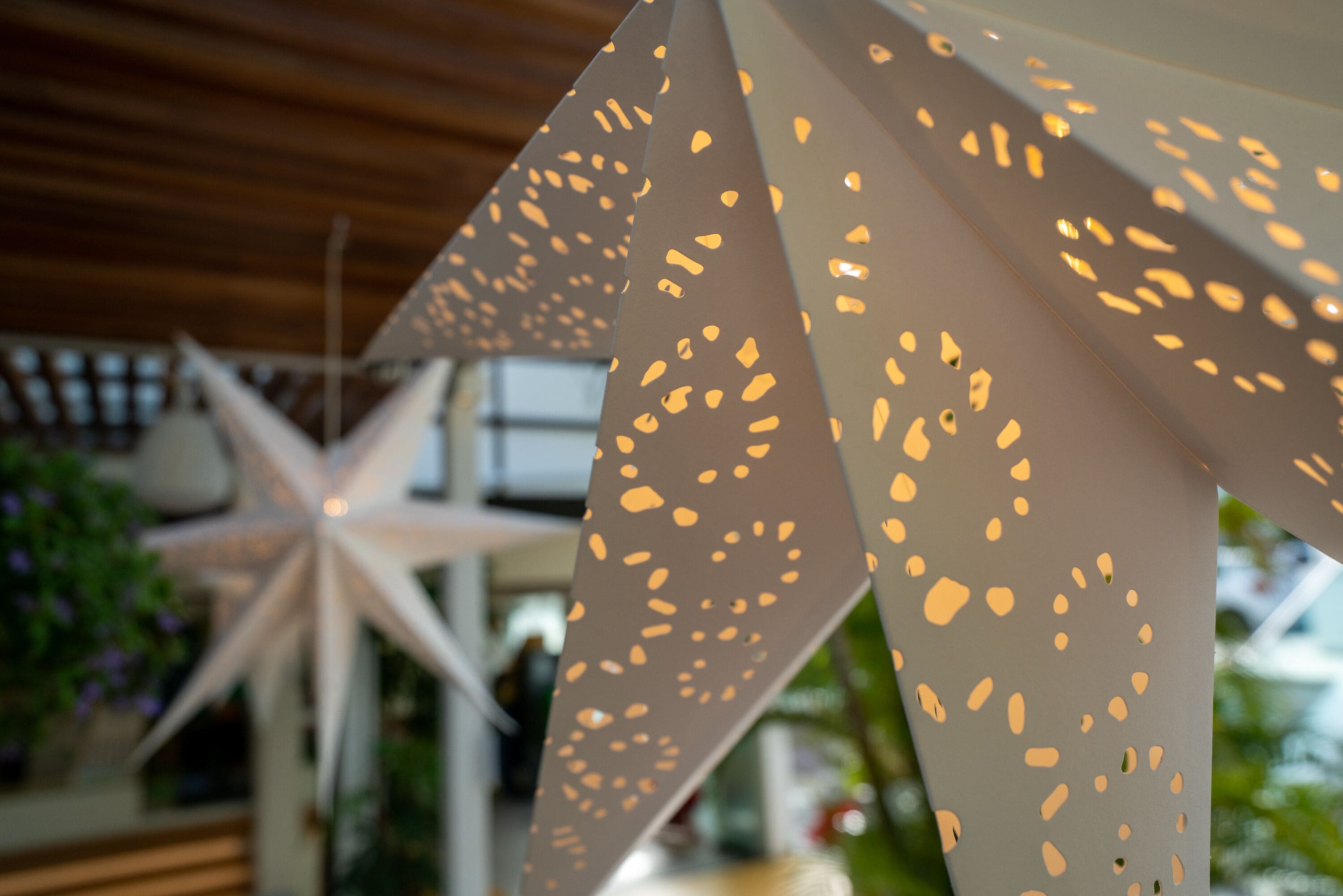 Foto - Vanilla Garden Boutique Hotel - Adults Only