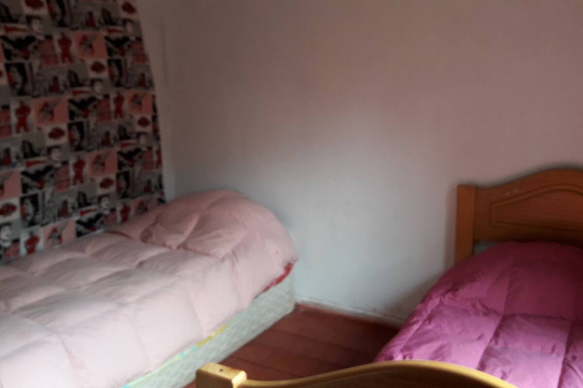 Standard Twin Room, 2 Single Beds, Shared Bathroom | Iron/ironing board, free WiFi