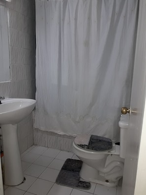 Combined shower/tub, deep soaking tub, hair dryer, towels