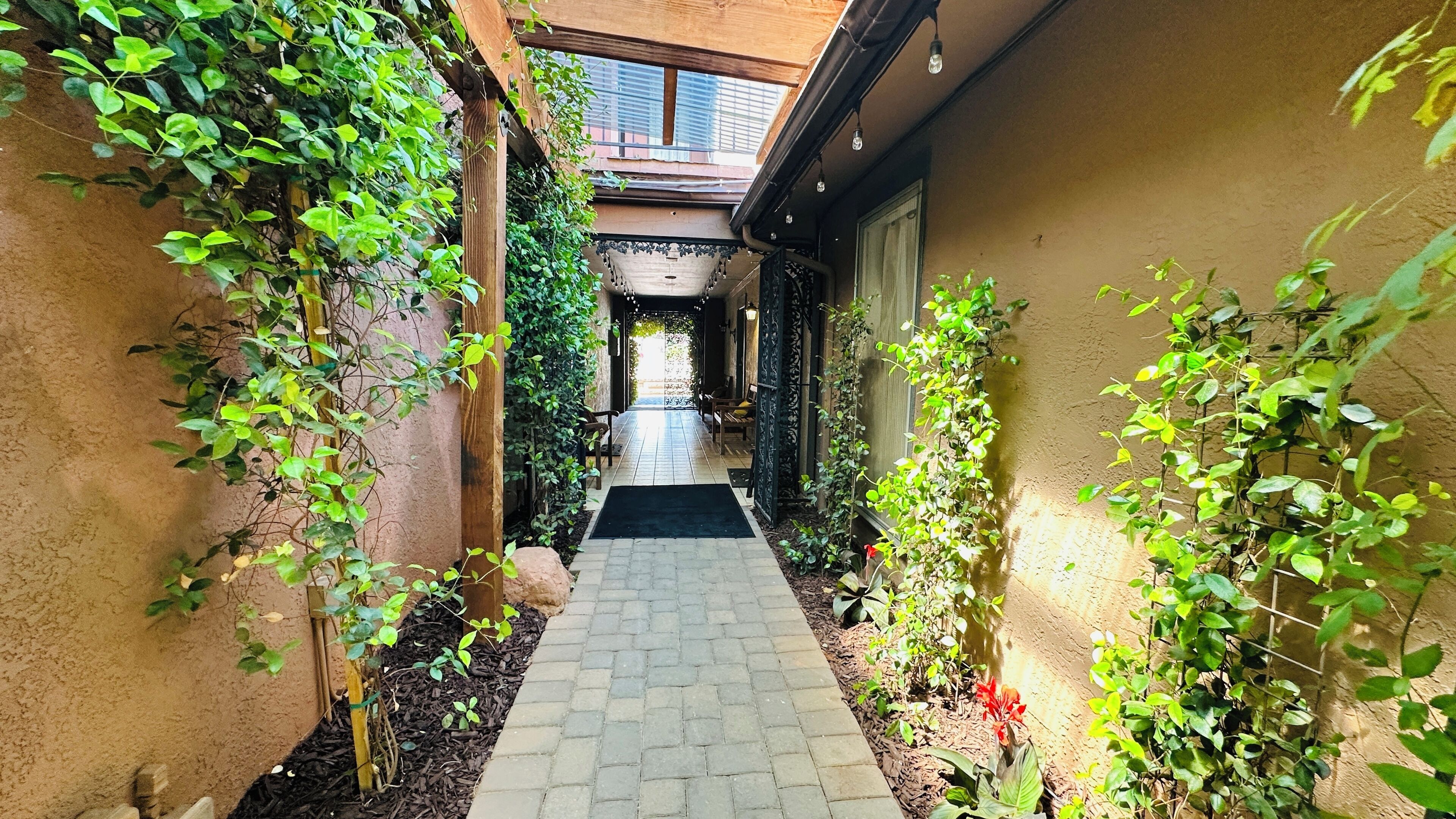 A narrow brick pathway flanked by lush greenery and a wooden pergola structure.