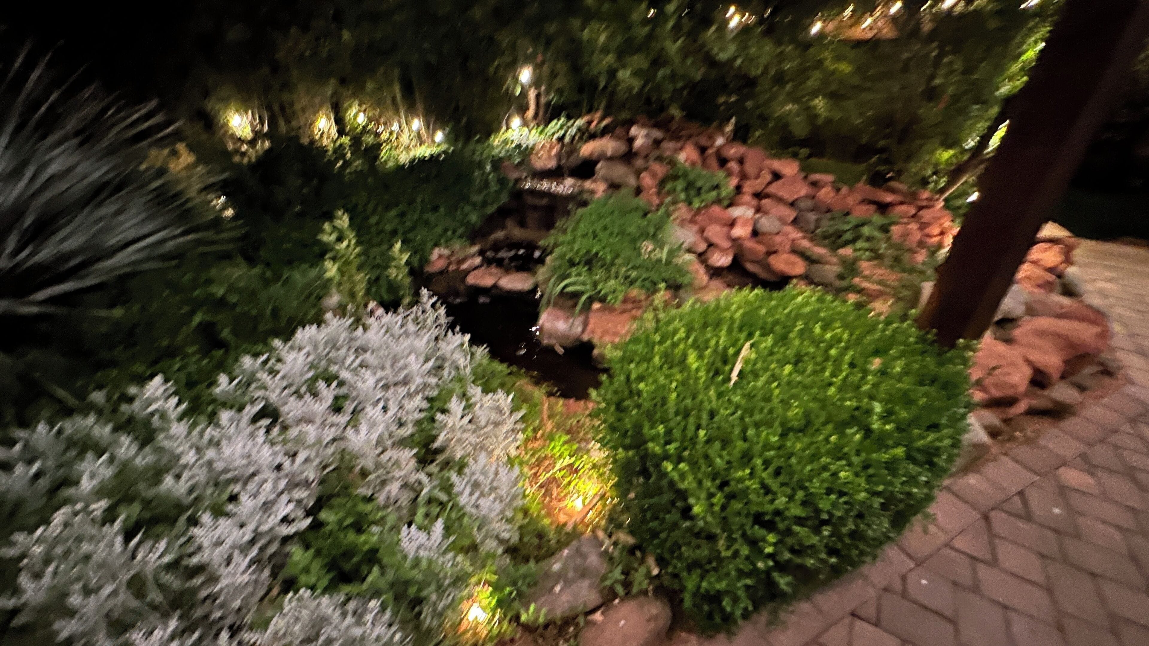 A nighttime garden with a small pond, various plants, and a stone pathway.