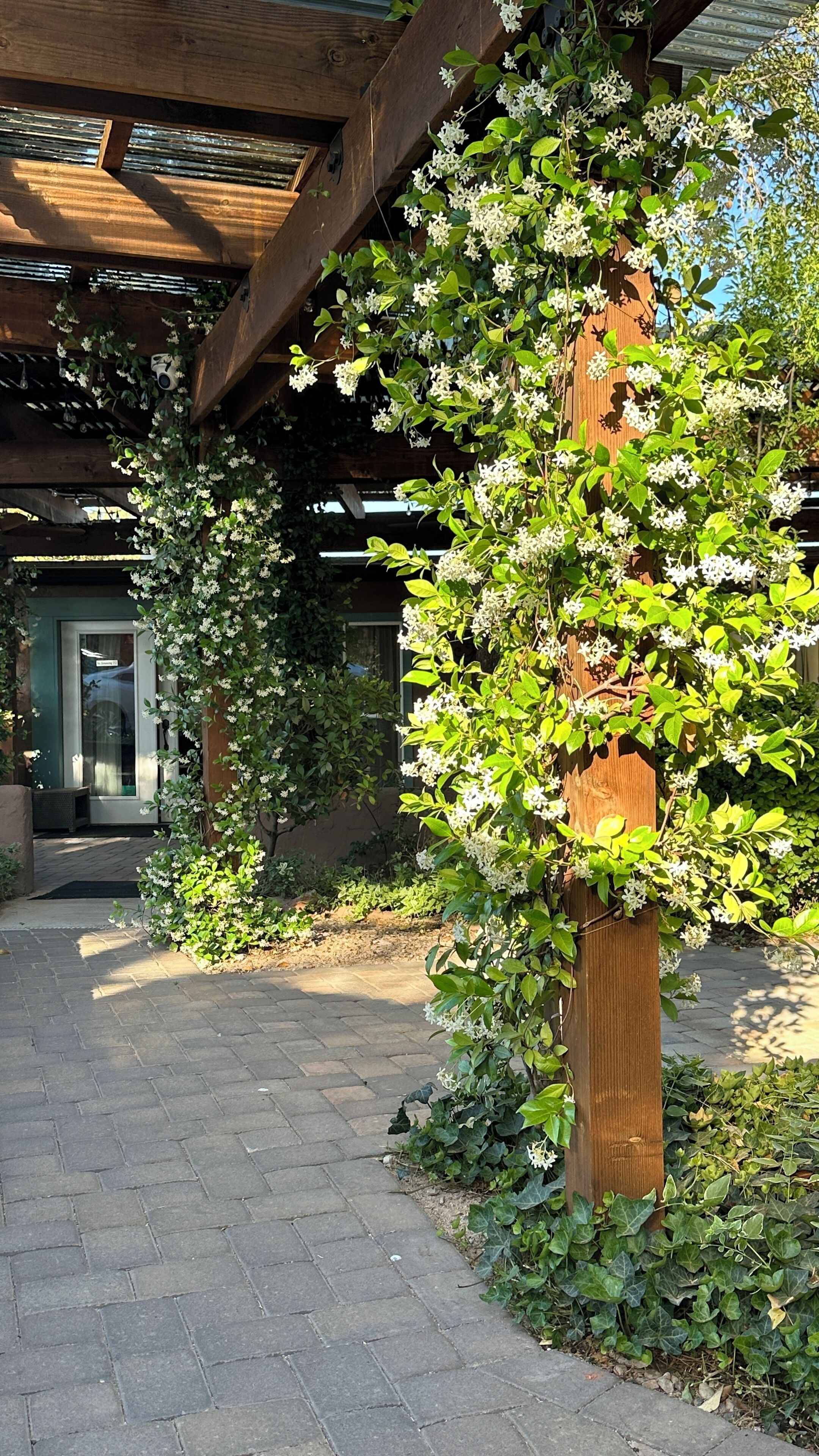 Un pasillo cubierto con una estructura de pérgola de madera, rodeado de exuberante follaje y plantas florecientes.