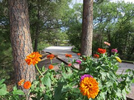 Εξωτερικός χώρος καταλύματος