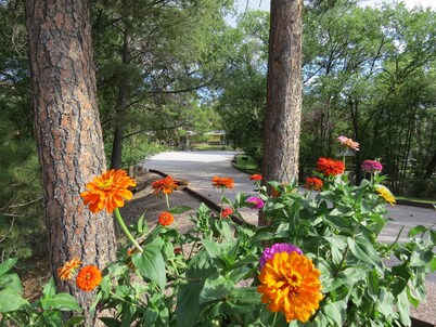 The Pines Country Inn