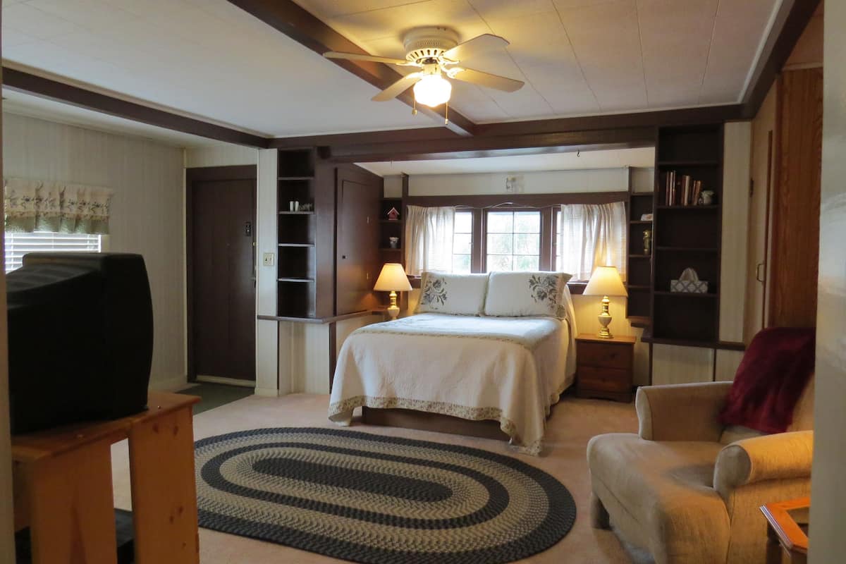 A bedroom with a bed, a ceiling fan, a bookshelf, a TV, and a circular rug.