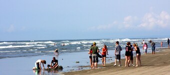 Ocean City WA** Creek&Ocean Estate & Cabins - Mobile Home - WIFI & Full Kitchen