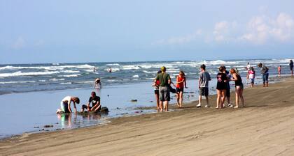 Ocean City WA ** Creek & Ocean Estate & Cabins - Casa móvil - WIFI y cocina completa