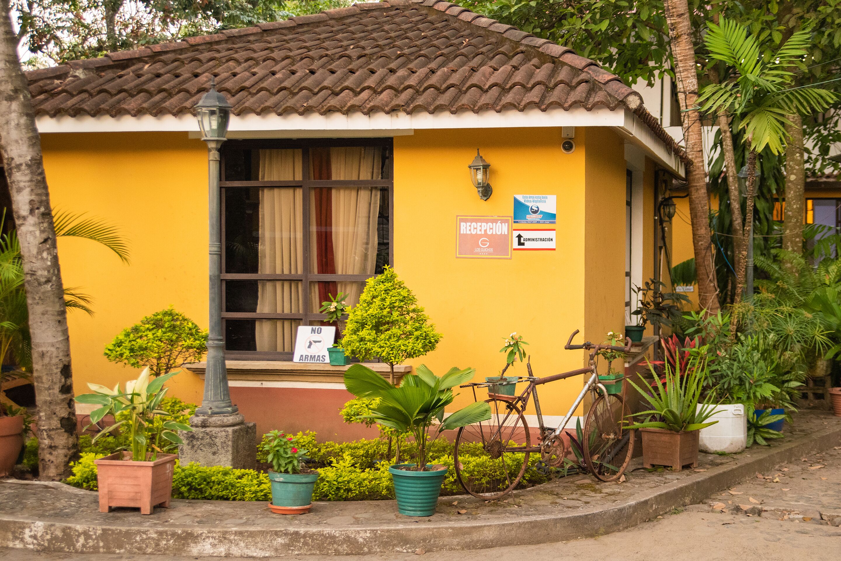A yellow building with a tiled roof, a reception sign, and potted plants.