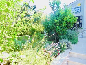 المنطقة المحيطة بالمنشأة