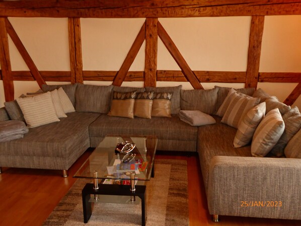 Televisión, chimenea y reproductor de DVD 