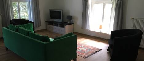 En stue med en grøn sofa, en sort lænestol, et fjernsyn på et træskab og et vindue med gardiner.