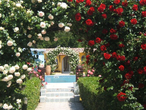 Gîte Le RIAD maison de vacances au calme piscine et jacuzzi jardin  Carpentras