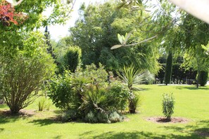 Un jardin luxuriant où l’on trouve une grande variété de plantes et d’arbres.