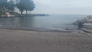 A beach with a rocky shoreline, a large tree, and a building in the background. - Beach Access! Minutes From Cedar Point, Kalahari, Jet Express, And Boat Basin! (Huron)