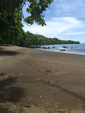 Enjoy a serene beach experience with a sandy shoreline and lush green surroundings.