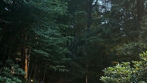 Ein steiniger Pfad in einem bewaldeten Gebiet mit einer Steinbrücke und Beleuchtung entlang des Weges.