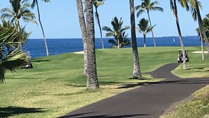 A golf course with a clear path, palm trees, and a view of the ocean.