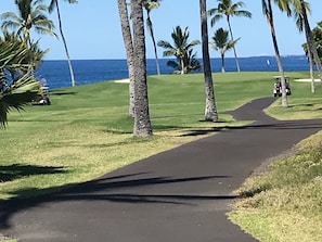 A golf course with a clear path, palm trees, and a view of the ocean.