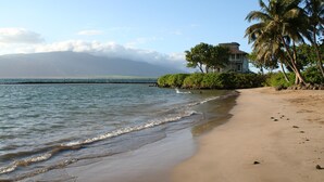 A beach with a house and palm trees. - Maui Tranquility ... Relax, Unwind and Feel Welcomed! (Kihei)