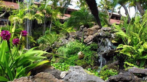 A lush garden with a waterfall, rocks, and tropical plants. - Maui Tranquility ... Relax, Unwind and Feel Welcomed! (Kihei)