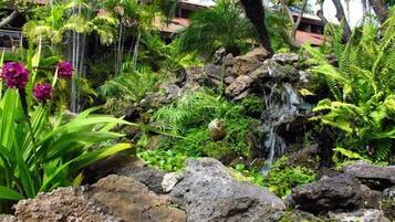 Àrea exterior de l'allotjament