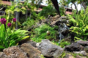 Escape to a serene tropical oasis with lush greenery and a soothing waterfall.