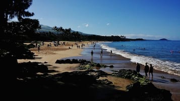Platja a a prop, gandules de platja i tovalloles de platja