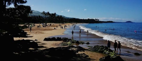 ビーチの近く、サンラウンジャー、ビーチタオル