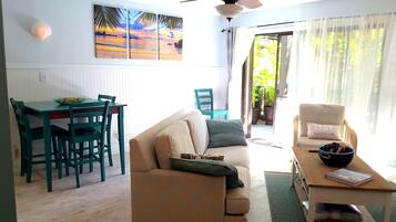 Televisor, llibres i estèreo