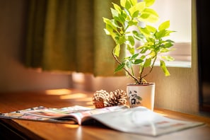Een potplant op een vensterbank met een tijdschrift en een dennenappel.